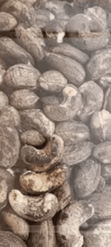 skin burnt cashew