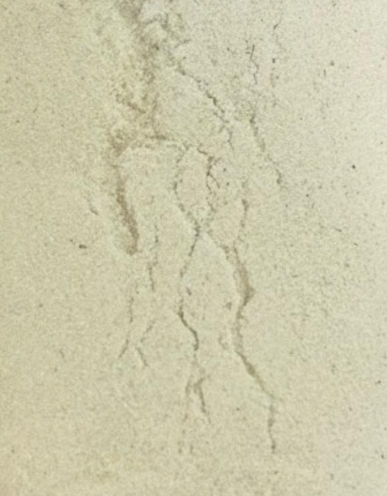 Fine cashew powder